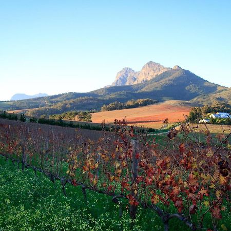 Marianne Wine Estate Bed and Breakfast Στέλενμπος Εξωτερικό φωτογραφία