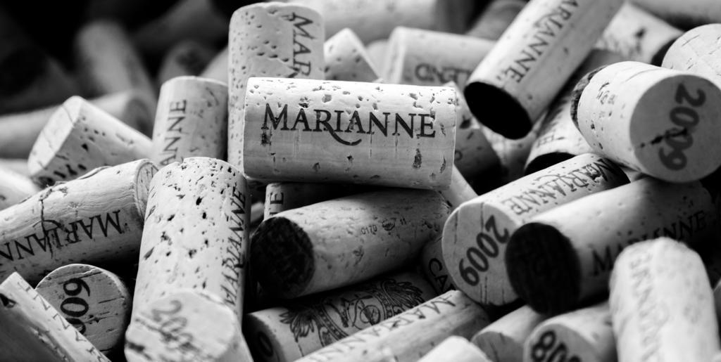 Marianne Wine Estate Bed and Breakfast Στέλενμπος Εξωτερικό φωτογραφία
