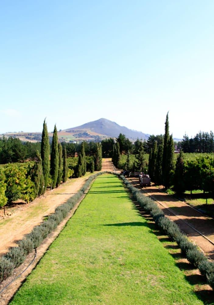 Marianne Wine Estate Bed and Breakfast Στέλενμπος Εξωτερικό φωτογραφία