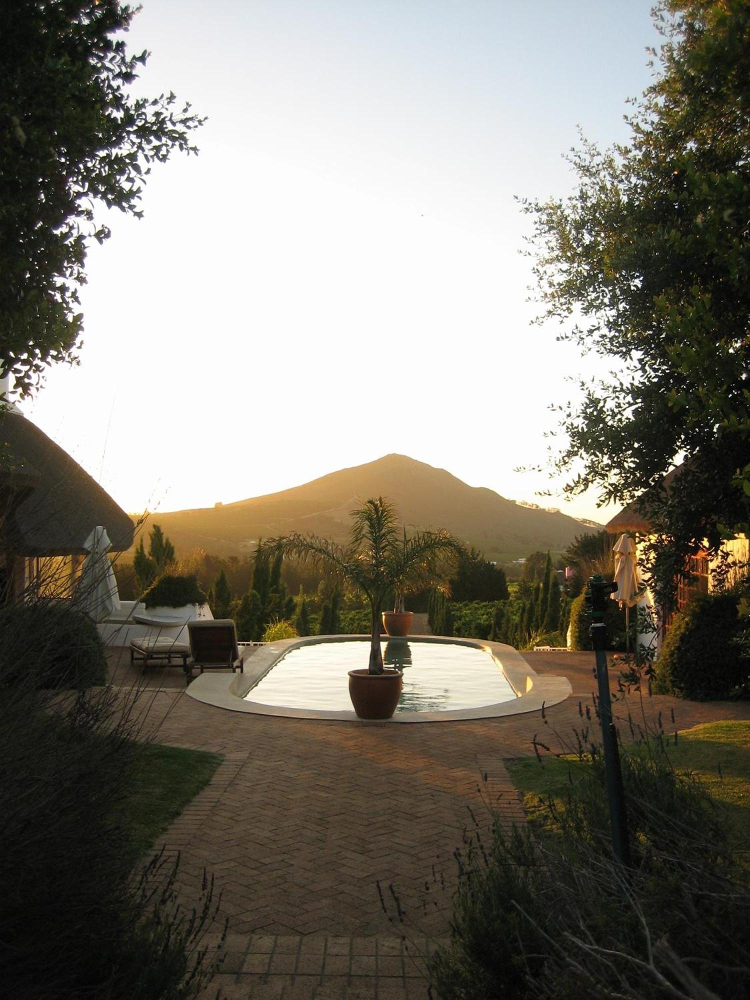Marianne Wine Estate Bed and Breakfast Στέλενμπος Εξωτερικό φωτογραφία