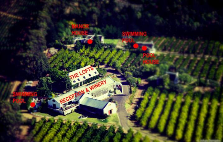 Marianne Wine Estate Bed and Breakfast Στέλενμπος Εξωτερικό φωτογραφία