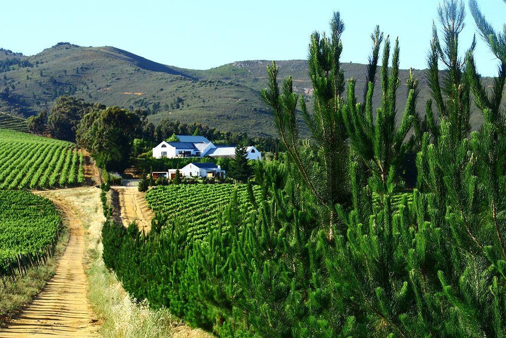 Marianne Wine Estate Bed and Breakfast Στέλενμπος Εξωτερικό φωτογραφία