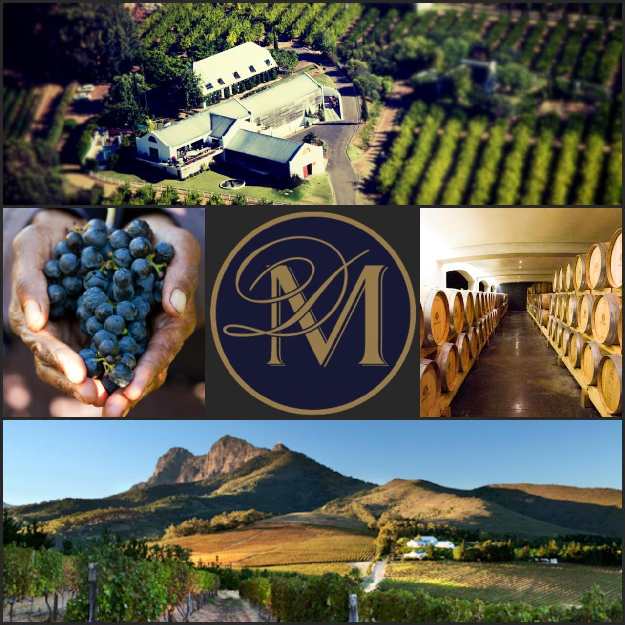 Marianne Wine Estate Bed and Breakfast Στέλενμπος Εξωτερικό φωτογραφία
