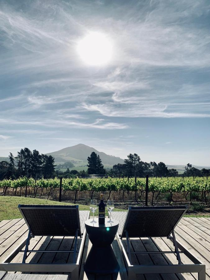 Marianne Wine Estate Bed and Breakfast Στέλενμπος Εξωτερικό φωτογραφία