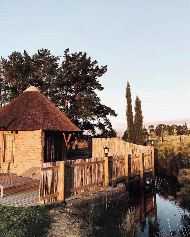 Marianne Wine Estate Bed and Breakfast Στέλενμπος Εξωτερικό φωτογραφία